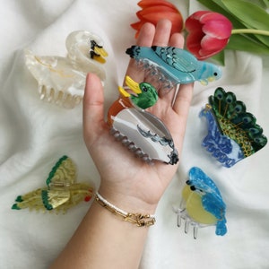 Hair clip bird colorful | Hair clips birds