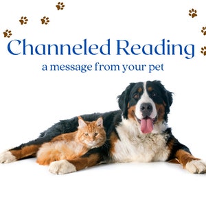 Lecture de tarot pour animaux de compagnie