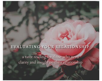 Puede incluir: Una rosa rosa con una textura suave y delicada, floreciendo en un jardín. La imagen presenta el texto "EVALUATING YOUR RELATIONSHIP" y "a tarot reading for those who need clarity and insight on their relationship."
