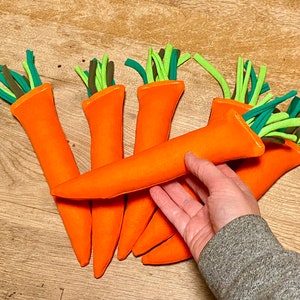 Large Carrot Catnip Kicker