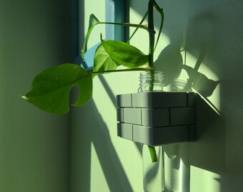 Könnte beinhalten: Eine grüne Pflanze mit Blättern, die in einem durchsichtigen Glasrohr wachsen, das in einen grauen, ziegelartigen Pflanzer gesteckt wird. Der Pflanzer ist an einer Wand befestigt.