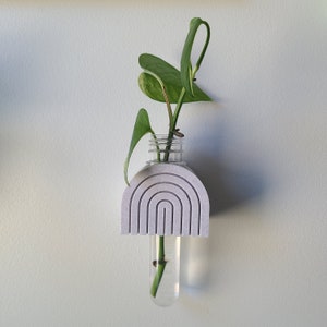 May include: A white ceramic planter shaped like a rainbow with a clear glass test tube vase inside. A green plant with leaves is growing in the vase.