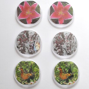 Flower Butterfly Button