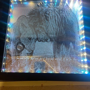 Lighted Shadow Box