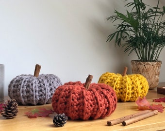 Crochet Merino Wool Pumpkin Decor | Cinnamon Stick Stalk