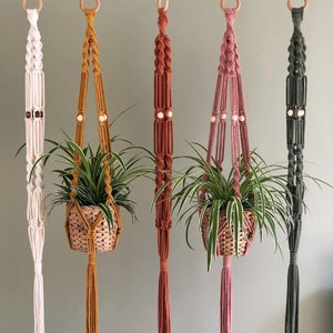 May include: Five macrame plant hangers in different colours, including white, mustard yellow, burnt orange, pink, and dark green. Each hanger has a wooden ring at the top and white beads spaced along the cords. The hangers are shown with potted plants.