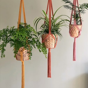 Pu&ograve; includere: Tre portavasi in macram&egrave; con anelli in legno, ognuno con una pianta in vaso. I portavasi sono di diversi colori: giallo, rosa e arancione. Le piante sono una felce, una pianta ragno e una palma.