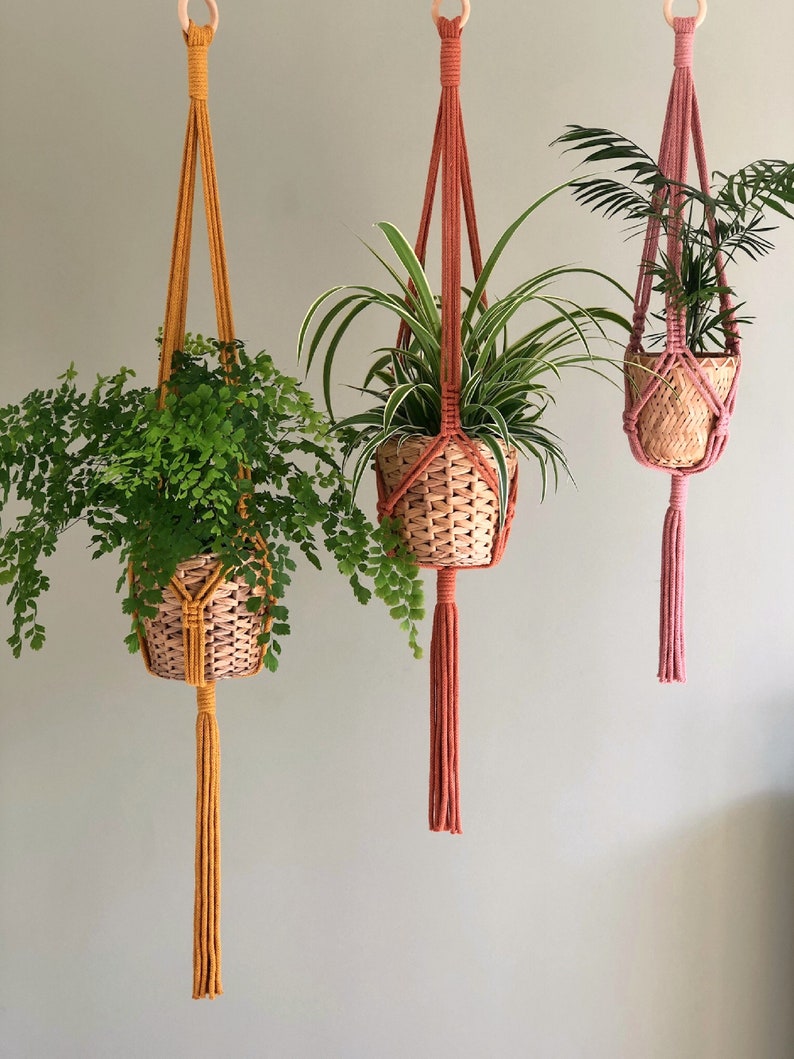 Pu&ograve; includere: Tre portavasi in macram&egrave; con anelli in legno, ognuno con una pianta in vaso. I portavasi sono di diversi colori: giallo, rosa e arancione. Le piante sono una felce, una pianta ragno e una palma.