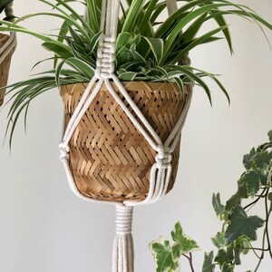 Pu&ograve; includere: Un portavasi in macram&egrave; bianco con un cesto intrecciato naturale che contiene una pianta verde. Il portavasi ha un lungo fiocco in basso.