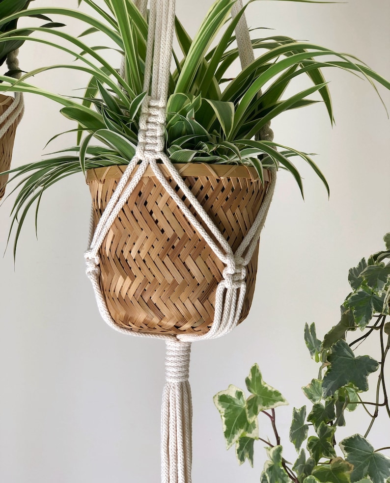 Pu&ograve; includere: Un portavasi in macram&egrave; bianco con un cesto intrecciato naturale che contiene una pianta verde. Il portavasi ha un lungo fiocco in basso.
