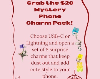 MYSTERY Phone Charm box