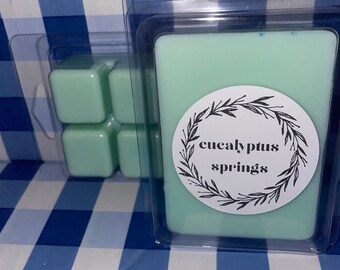 Eucalyptus Springs Bad- en lichaamswerk Geurende wassmelt | 2,5 oz wassmeltsteen