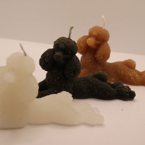 Liegender Pudel Kerze | 5,5 x 11cm | lying down Dog Candle | Geschenkidee