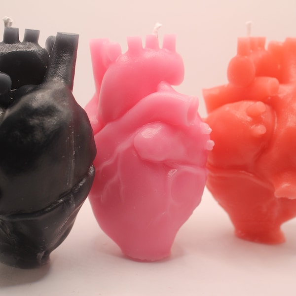 Anatomisches Herz Kerze | 9,5 cm | Anatomie Heart Candle | Geschenkidee | Deko