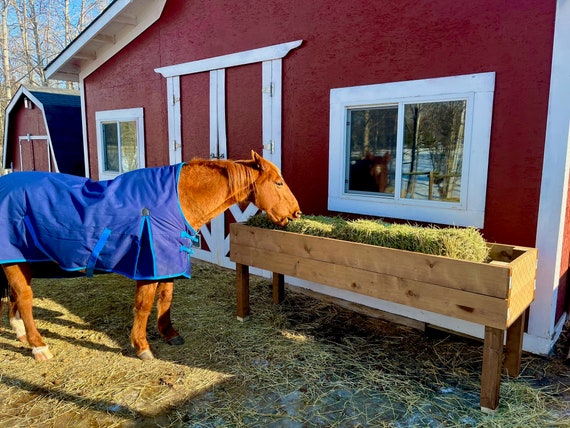 Feeding Troughs for Horses: Top Durable & Efficient Picks