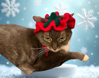 Squid Game Pet Hat: Handmade Strawberry Costume, Red & Green