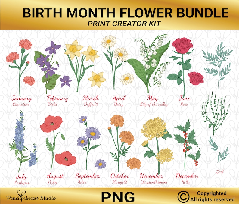 May include: A printable chart of birth month flowers. Each month is represented by a flower illustration, with the flower name and month listed below. The chart includes flowers like carnation, violet, daffodil, daisy, lily of the valley, rose, larkspur, poppy, aster, marigold, chrysanthemum, holly, and leaf.