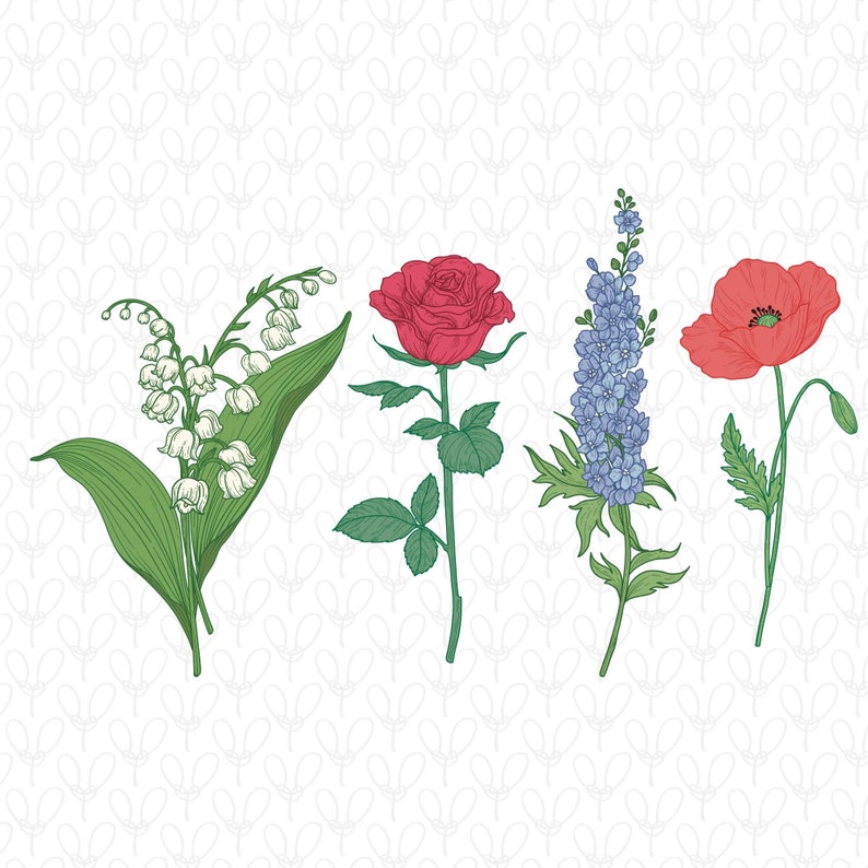 May include: A digital illustration of four different flowers: a lily of the valley, a red rose, a blue delphinium, and a red poppy.