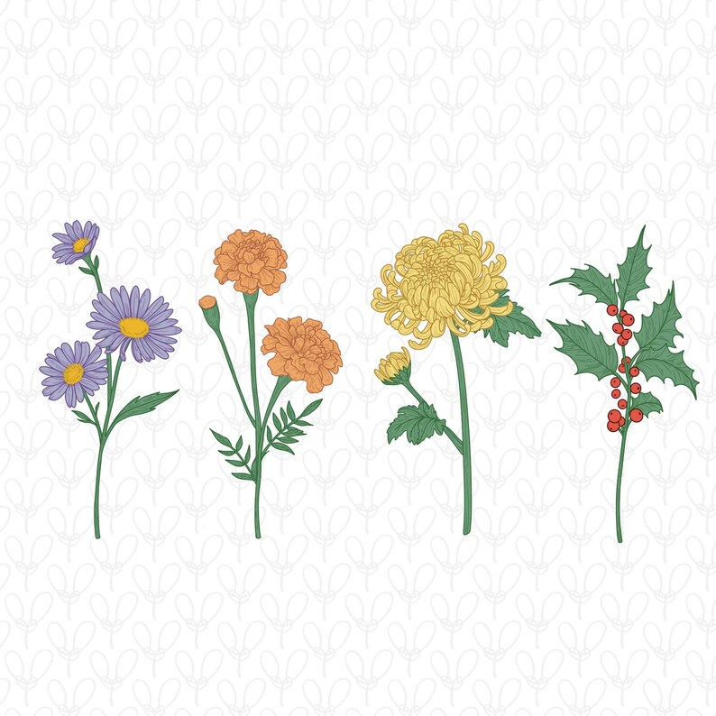 May include: Four different types of flowers in a line. The first flower is a purple aster, the second is a yellow and orange marigold, the third is a yellow chrysanthemum, and the fourth is a holly sprig with red berries.