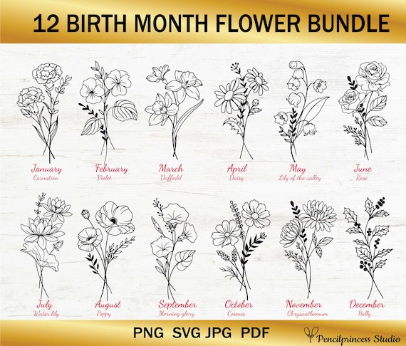 Birth month svg bundle, Birth month flowers svg, Wildflower svg, Birthday flower, Flower clipart, Botanical svg, Floral svg, Daisy svg, PNG