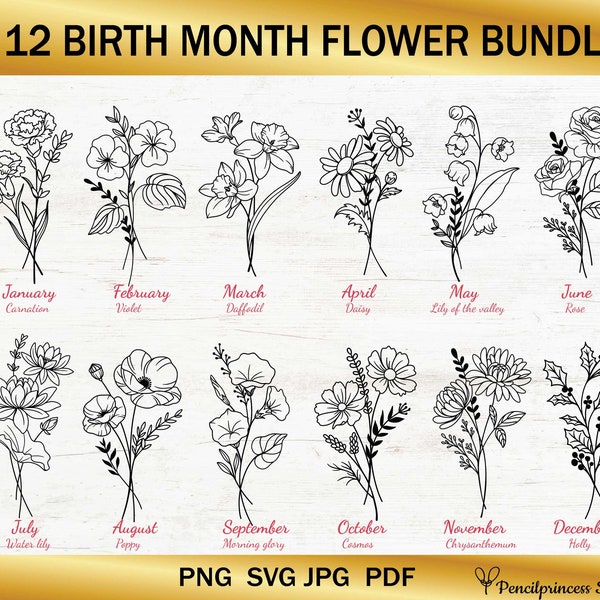 Bundle svg mois de naissance, fleurs du mois de naissance svg, svg fleurs sauvages, fleur d'anniversaire, clipart fleur, svg botanique, floral svg, svg Daisy, PNG