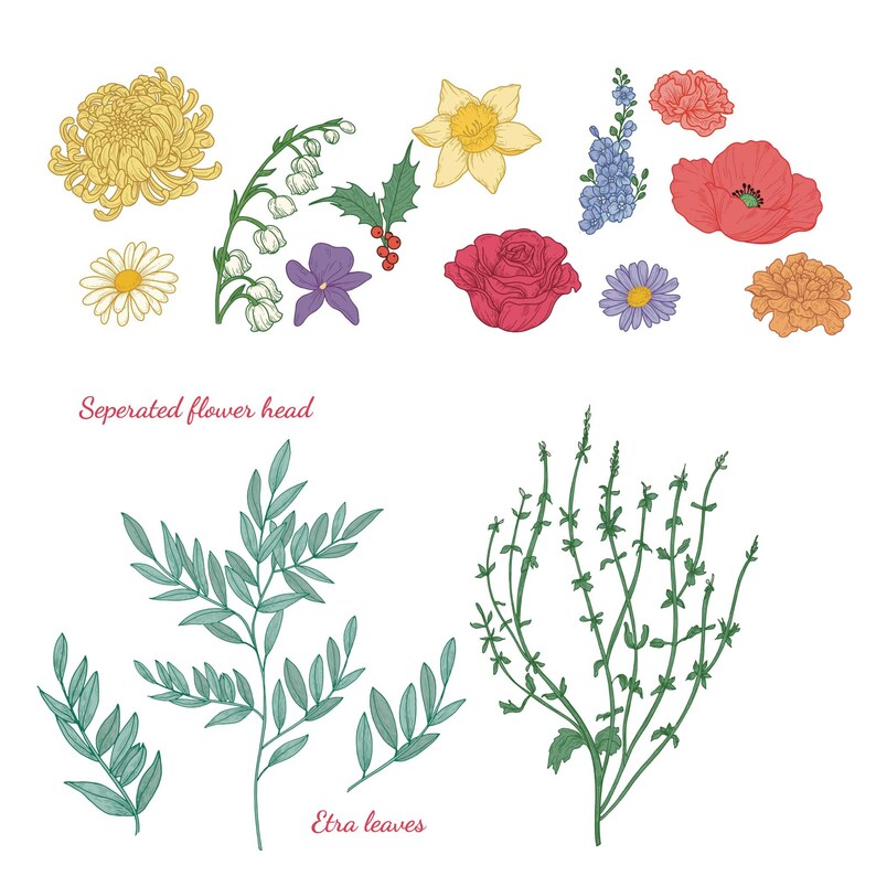 May include: A collection of hand-drawn floral illustrations, including a yellow chrysanthemum, a white lily, a red rose, a blue forget-me-not, a red poppy, a yellow daffodil, a green holly sprig with red berries, and a cluster of green leaves. The text "Separated flower head" and "Extra leaves" are also included.