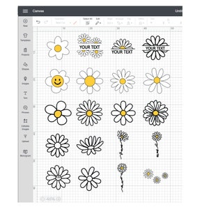 May include: A digital design sheet with 15 different daisy flower designs. The designs include a daisy with a smiley face, a daisy with a sun, and a daisy with the text "YOUR TEXT".