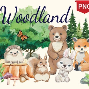 Woodland watercolor clipart, Fox, Squirrel, Bunny, Bear, Hedgehog, Baby-shower, Woods, Forest animals clip art, Baby, Nursery decor, Rabbiat