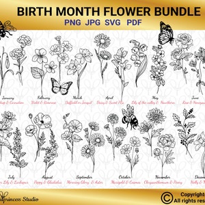 Geboortemaand bloem SVG, geboortemaand bloemen SVG, Wildflower SVG, verjaardag bloem, bloem clipart, botanische SVG, bloemen SVG, Daisy SVG, PNG