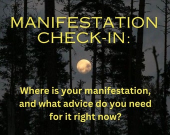 Manifestation Check-In Oracle Reading