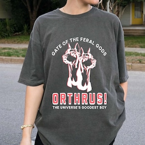 Puede incluir: Camiseta gris oscuro con el texto "GATE OF THE FERAL GODS" y "ORTHRUS! THE UNIVERSE'S GOODEST BOY". El gr&aacute;fico presenta un perro de dos cabezas en rojo y blanco. La camiseta es de corte holgado.