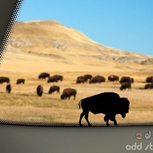 Buffalo Decal, Bison Decal, Easter Egg Decal, Sticker, Nature Decal, National Park Sticker, Adventure Sticker