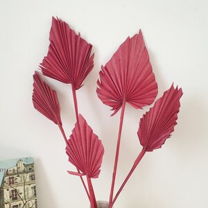 Palm spear séché - rouge bordeaux - 5 tiges