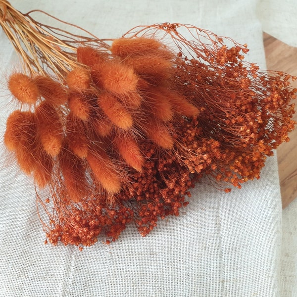 Assortment of Terracotta dried flowers - Dried Broom Bloom, Dried Lagurus