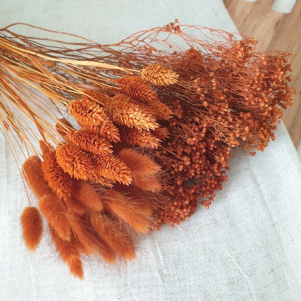 Assortment of Terracotta dried flowers - Dried Broom Bloom, Dried Lagurus, Dried Phalaris