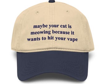 Maybe Your Cat Is Meowing Because It Wants To Hit Your Vape Garment washed baseball cap