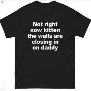 Könnte beinhalten: Ein schwarzes Kurzarm-T-Shirt mit weißem Text, der mittig auf der Brust steht: Not right now kitten the walls are closing in on daddy. Das Kleidungsstück hat einen Rundhalsausschnitt und eine Standardpassform mit einfarbigem schwarzem Stoff.