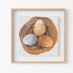 May include: A brown woven nest with three eggs inside. The eggs are different colors: one is light brown, one is a pale blue, and one is a darker brown.