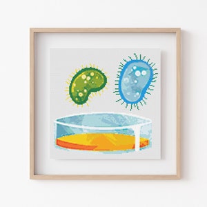 Petrischaal kruissteekpatroon, instant download pdf, decor kinderkamer, moderne stekentabel, science decor, kruissteekkunst, borduurcadeau