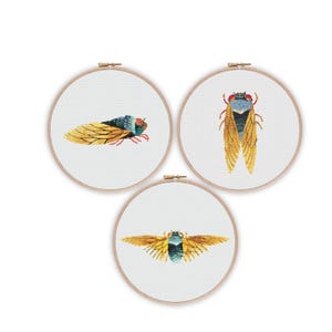 May include: Three embroidery hoops with cross-stitch designs of cicadas. The cicadas are depicted in shades of blue, green, and yellow with red accents.