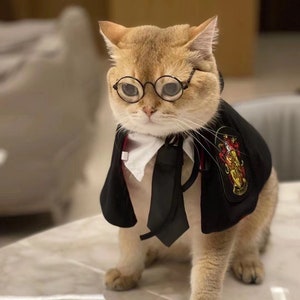 meow graduation set, cat cape Costume, cat glasses, cat tie