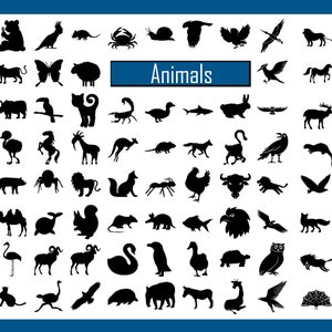 Fun Animals Outlines SVG Assorted Animal Outline Crafts Animal Silhouettes School Classroom Decor Nursery Mix of Animals Decor