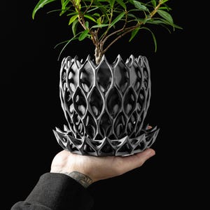 Modern Geometric Lattice Planter with Tray | 3D Printed Indoor Plant Pot