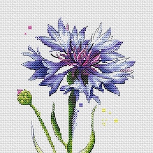 Cornflower Cross Stitch Pattern: Blue Floral Design (PDF Pattern)