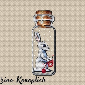 Liebre Blanca Patrón Punto de Cruz Patrón Botella Invierno PDF Patrón Fácil Patrón Pequeño Patrón Mini DMC Gráfico Imprimible PDF Descarga Instantánea
