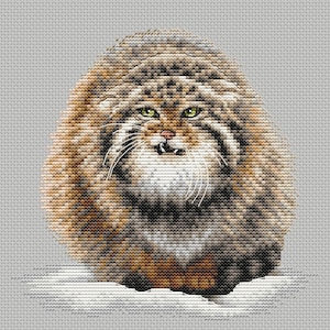 Pallas Cat Cross Stitch Pattern Grumpy Cat Pattern Fluffy Cat PDF Pattern Cat Cross Stitch Pattern DMC Chart Printable PDF Instant Download
