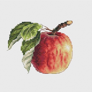 Apple Cross Stitch Pattern Fruit Pattern Ripe Apple PDF Pattern Garden Pattern Small Pattern Mini DMC Chart Printable PDF Instant Download
