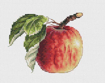 りんごページ ミニふじ | hanafru FRUIT Navigation | hanafru（ハナフル）