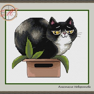 Cat in Box Cross Stitch Tuxedo Cat Cross Stitch Pattern Black Cat Cross Stitch Mischievous Cat Cross Stitch Pattern Instant Download PDF