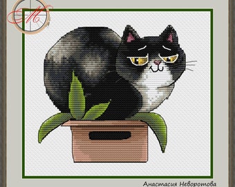 Tuxedo Cat in Box Cross Stitch Pattern (PDF Download)